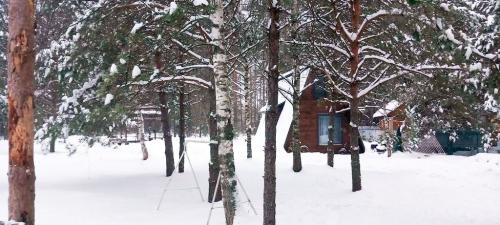 Крутец.-Декабрь-2024