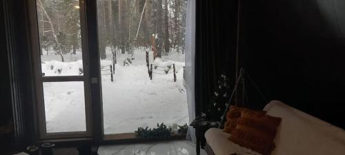 Крутец.-Декабрь-2024-0004