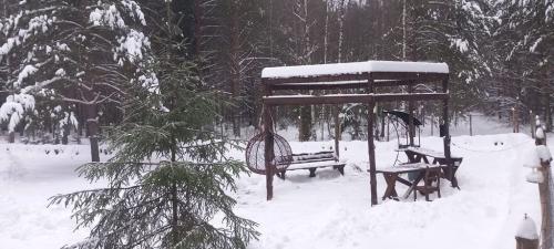 Крутец.-Декабрь-2024-0018