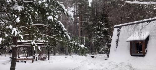 Крутец.-Декабрь-2024-0020
