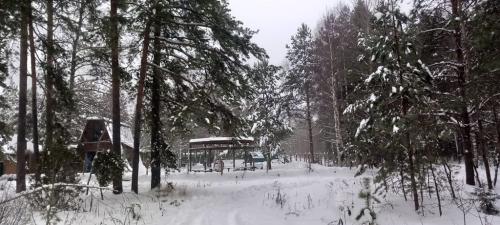 Крутец.-Декабрь-2024-0021