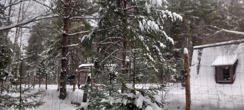 Крутец.-Декабрь-2024-0022