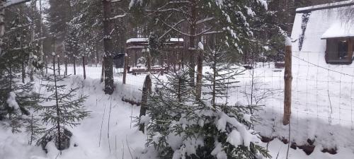 Крутец.-Декабрь-2024-0026