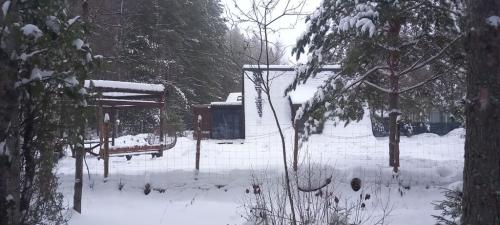 Крутец.-Декабрь-2024-0028