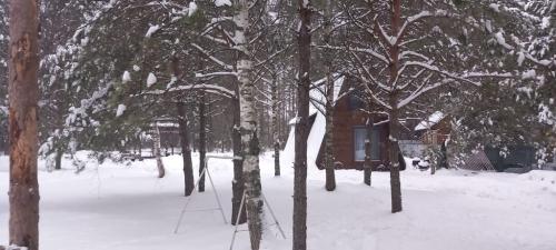 Крутец.-Декабрь-2024-0029