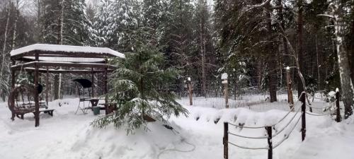 Крутец.-Декабрь-2024-0031