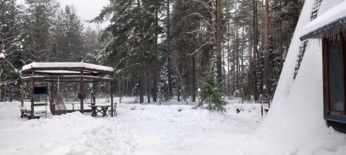 Крутец.-Декабрь-2024-0032