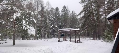 Крутец.-Декабрь-2024-0035