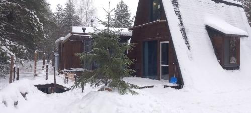 Крутец.-Декабрь-2024-0036