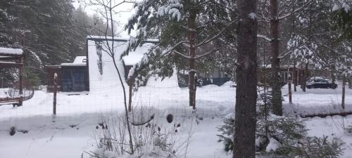 Крутец.-Декабрь-2024-0037