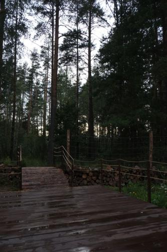 Крутец.-Август-2024-0055