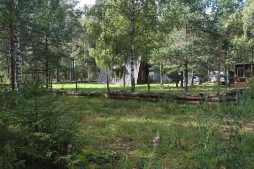 Крутец.-Август-2024-0130