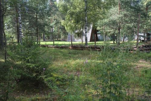 Крутец.-Август-2024-0131